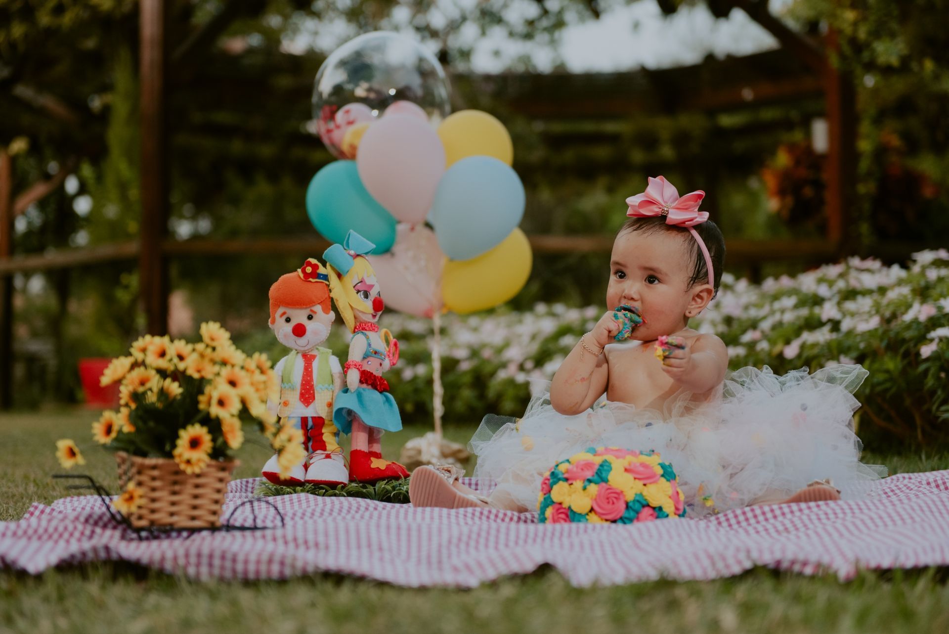 Foto SMASH THE CAKE | ANA LIZ | HOLAMBRA - SP - Imagem 41