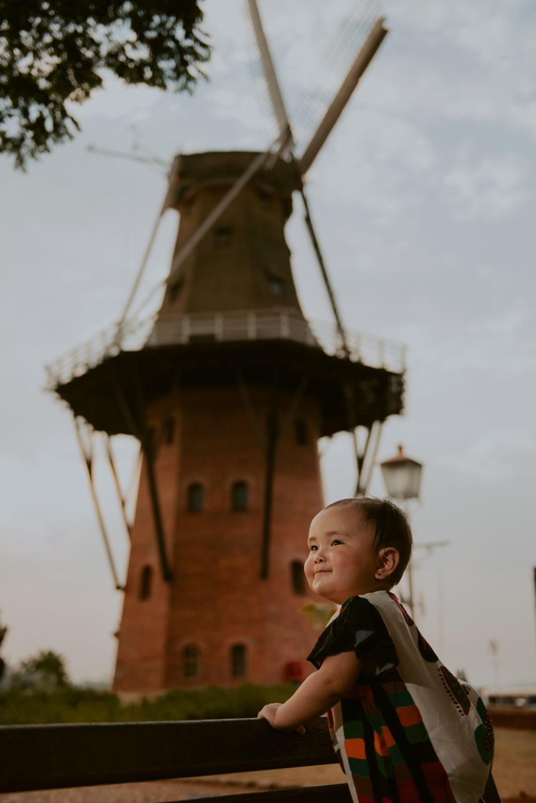 Foto SMASH THE CAKE | ANA LIZ | HOLAMBRA - SP - Imagem 58