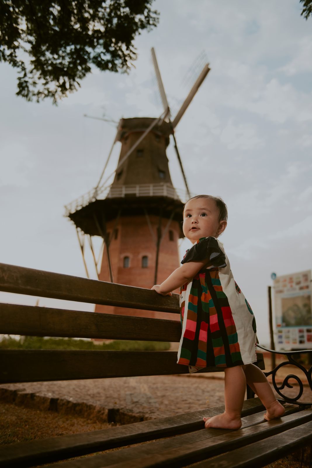 Foto SMASH THE CAKE | ANA LIZ | HOLAMBRA - SP - Imagem 57