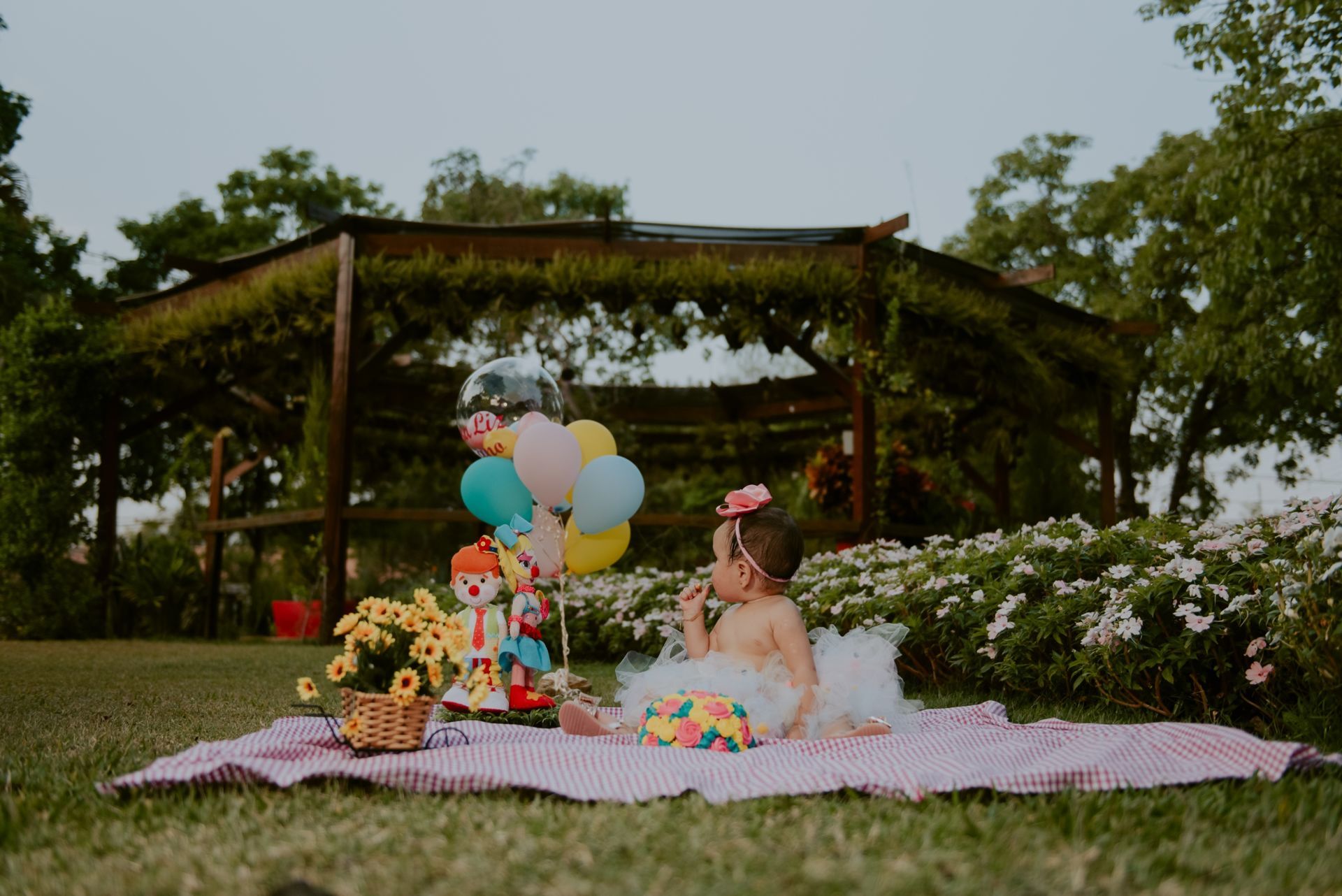 Foto SMASH THE CAKE | ANA LIZ | HOLAMBRA - SP - Imagem 38