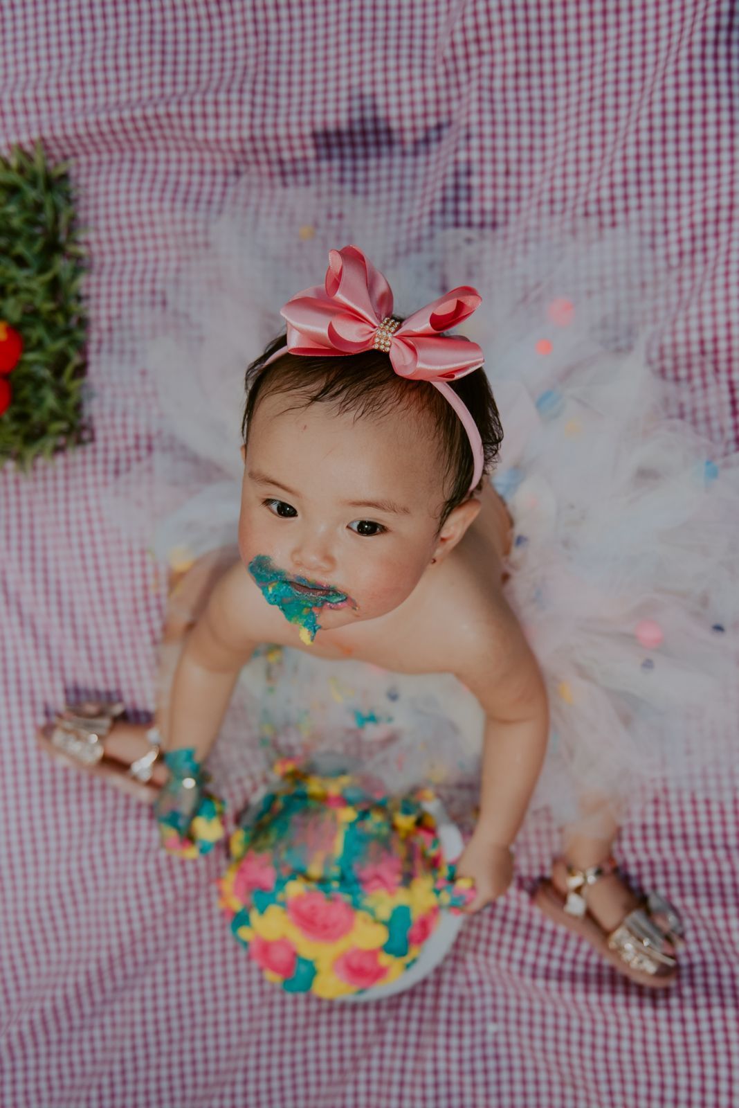 Foto SMASH THE CAKE | ANA LIZ | HOLAMBRA - SP - Imagem 43