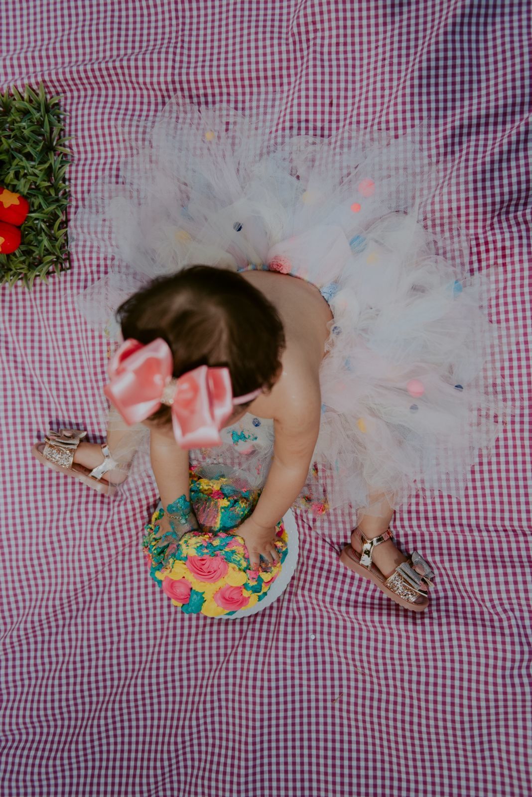 Foto SMASH THE CAKE | ANA LIZ | HOLAMBRA - SP - Imagem 42