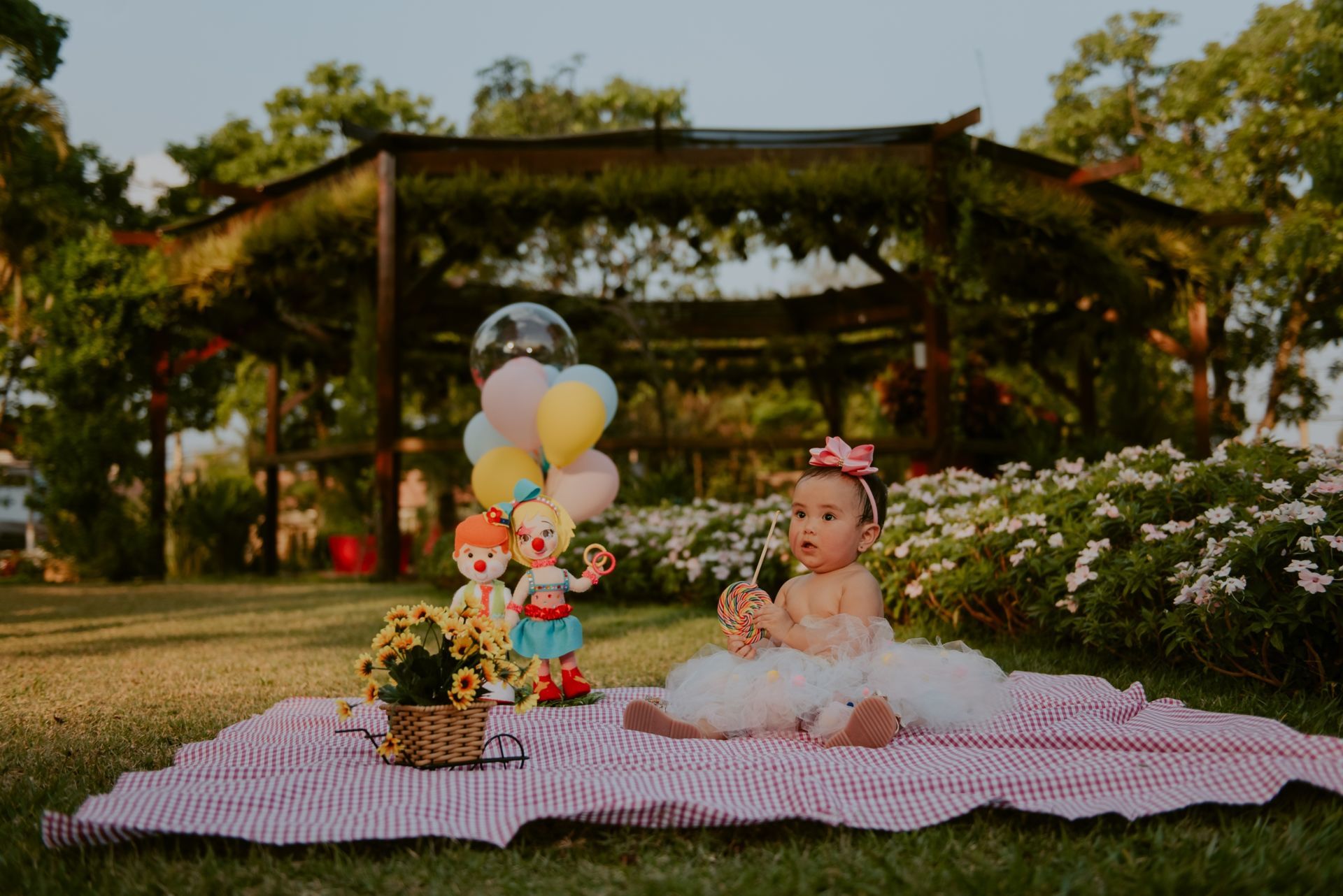 Foto SMASH THE CAKE | ANA LIZ | HOLAMBRA - SP - Imagem 34