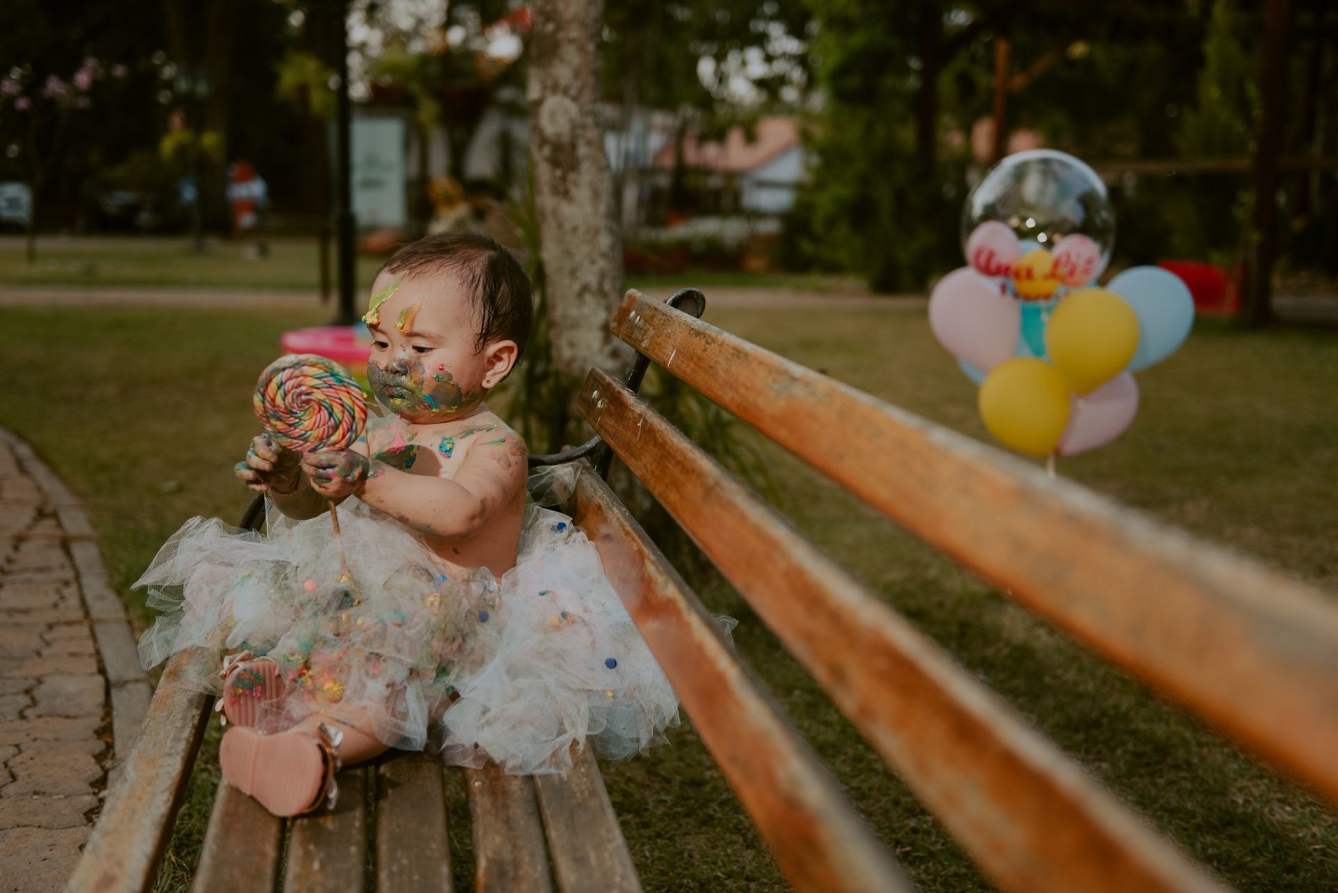 Foto SMASH THE CAKE | ANA LIZ | HOLAMBRA - SP - Imagem 50