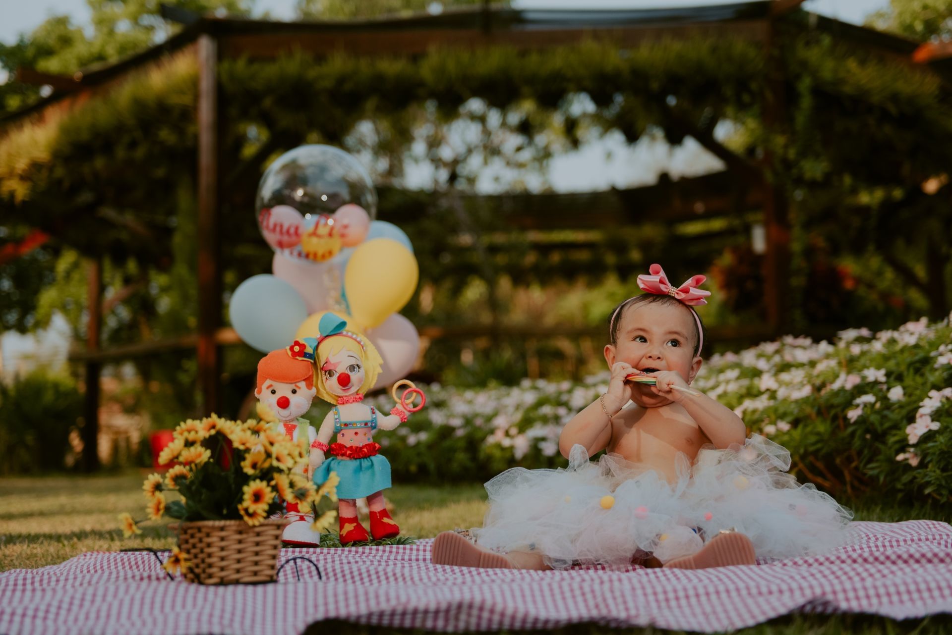 Foto SMASH THE CAKE | ANA LIZ | HOLAMBRA - SP - Imagem 36