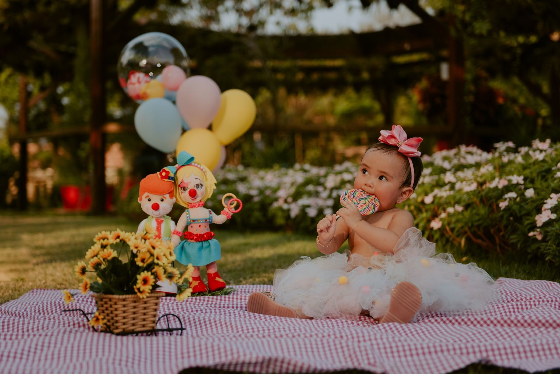 Foto SMASH THE CAKE | ANA LIZ | HOLAMBRA - SP - Imagem 35