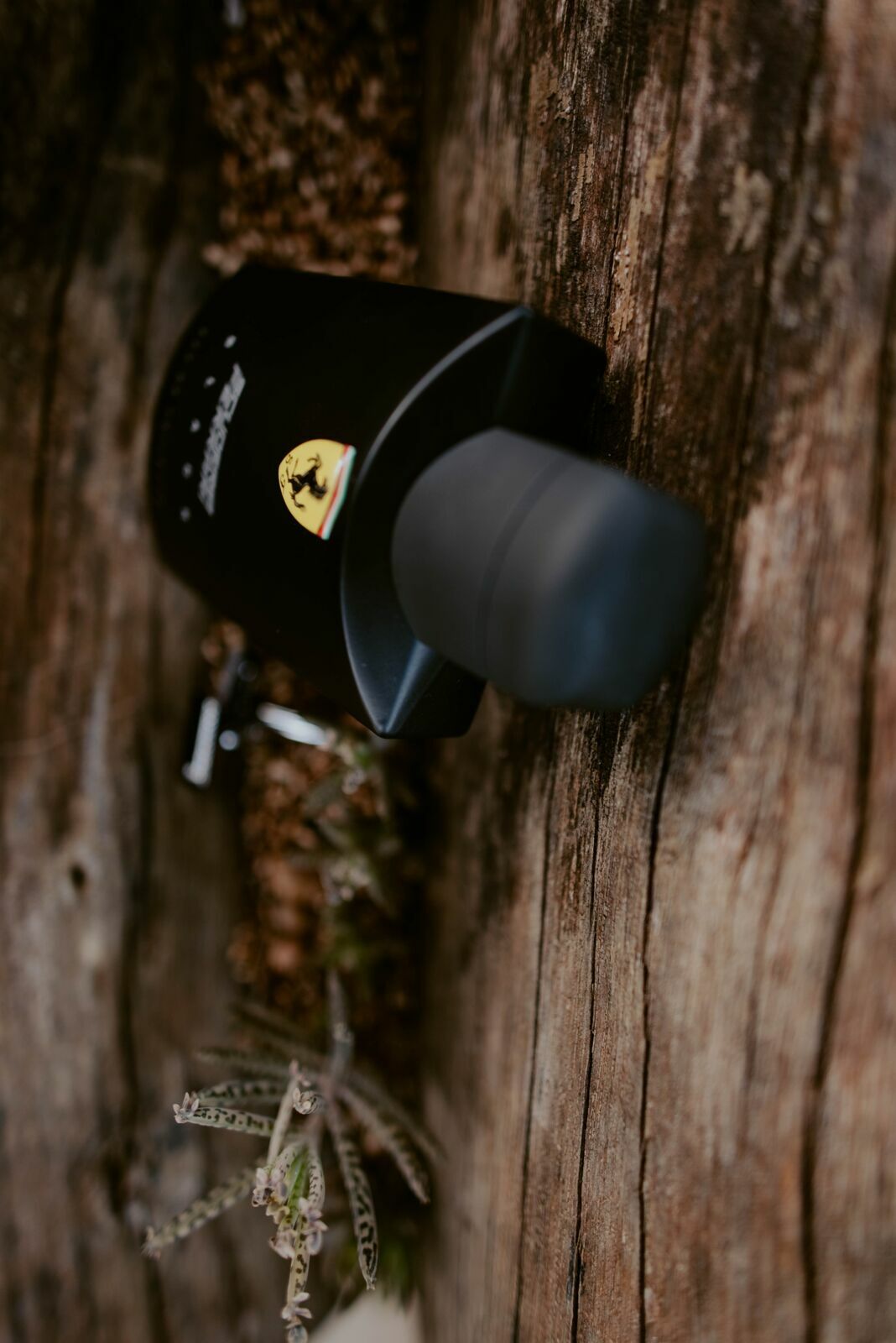 Foto LOHAINY E MIGUEL  |  CASAMENTO | ARARAS - SP - Imagem 95