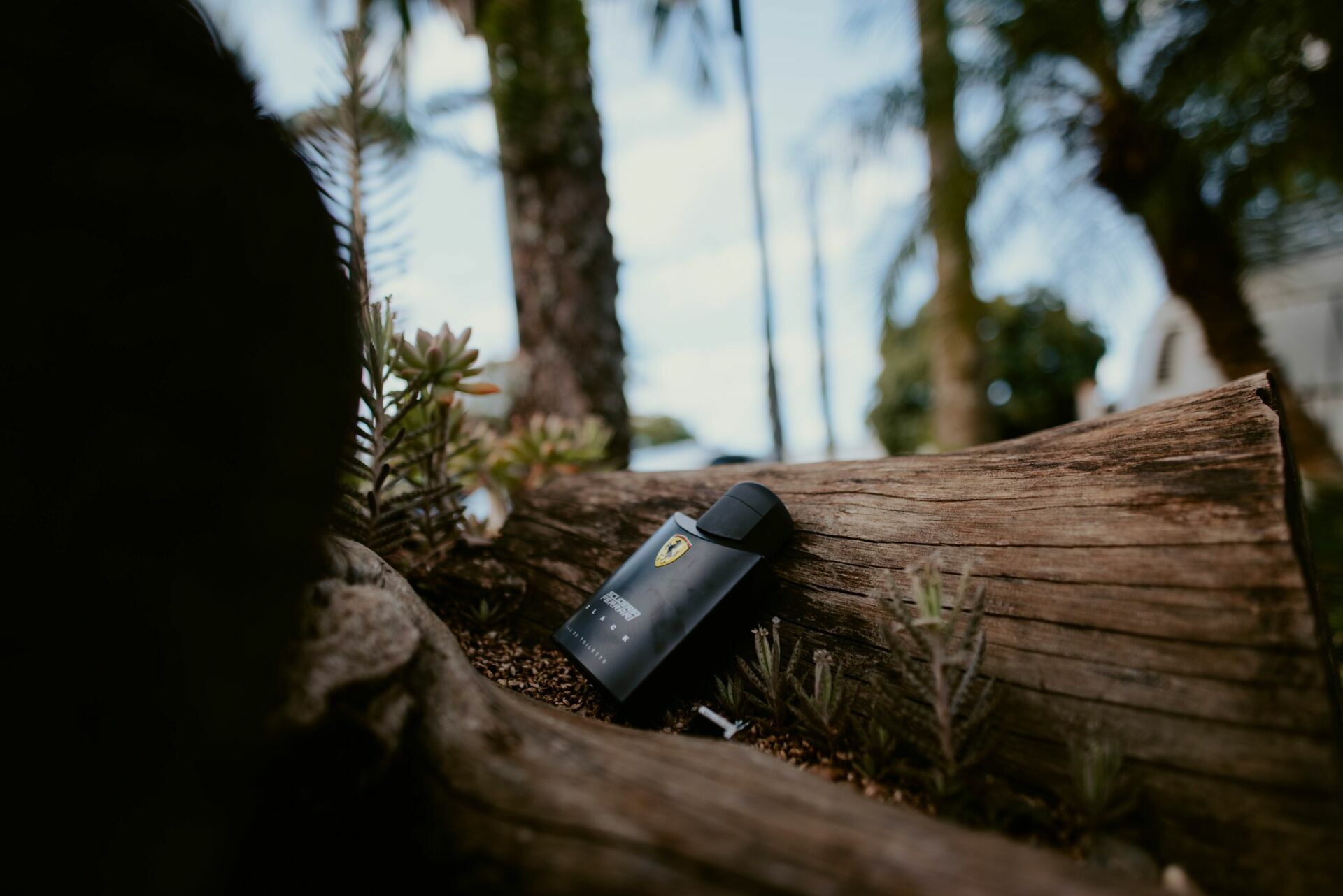 Foto LOHAINY E MIGUEL  |  CASAMENTO | ARARAS - SP - Imagem 96