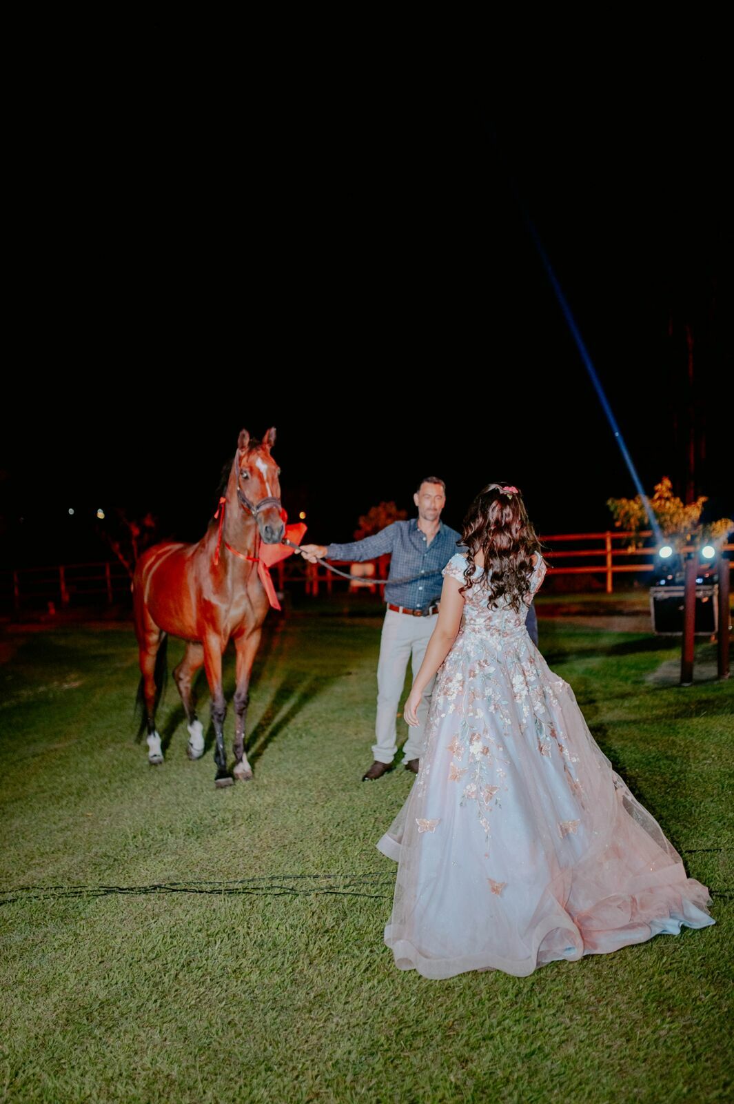 Foto Yasmin Franco | Haras Bella Vista | São Pedro - SP - Imagem 311