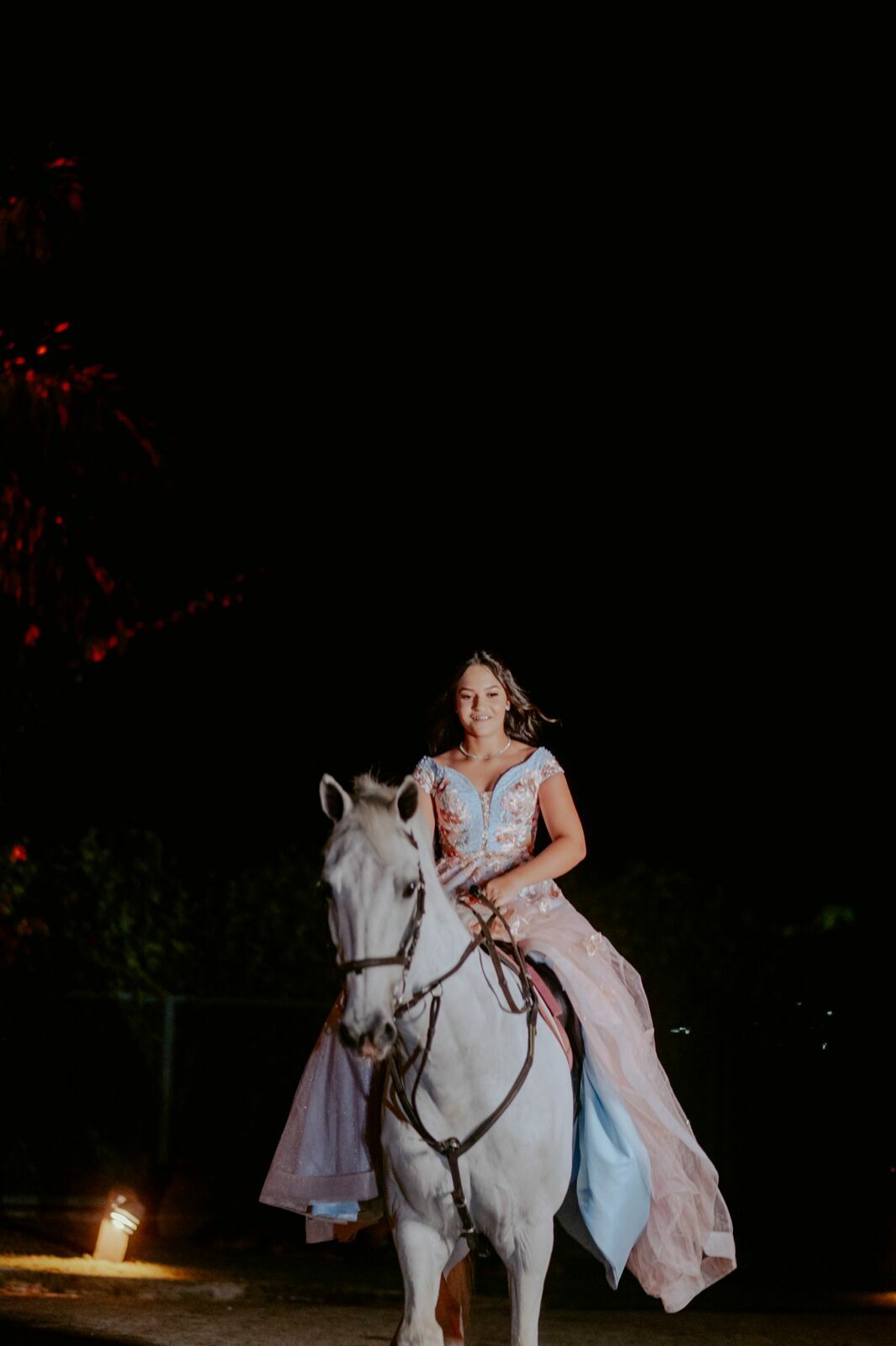 Foto Yasmin Franco | Haras Bella Vista | São Pedro - SP - Imagem 246